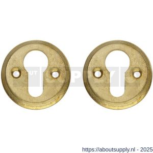 Intersteel Living 3173 cilinderrozetten diameter 50x5 mm messing getrommeld - S26011102 - afbeelding 1