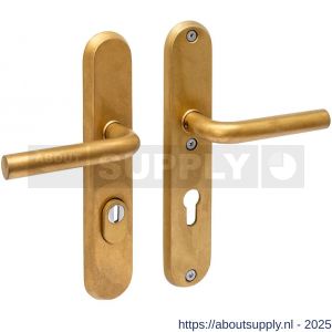 Intersteel Living 3787 SKG3 veiligheidsbeslag ovaal 250x50 mm kruk-kruk Luzern met veerconstructie profielcilindergat 72 mm met kerntrekbeveiliging PVD messing getrommeld - S26010939 - afbeelding 1