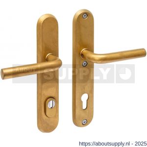 Intersteel Living 3787 SKG3 veiligheidsbeslag ovaal 250x50 mm kruk-kruk Luzern met veerconstructie profielcilindergat 92 mm met kerntrekbeveiliging PVD messing getrommeld - S26010938 - afbeelding 1