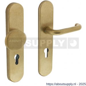 Intersteel Living 3846 SKG3 veiligheidsbeslag ovaal verdekt 252x54 mm greep-kruk Rond profielcilindergat 72 mm messing getrommeld - S26003465 - afbeelding 1