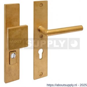 Intersteel Living 3962 SKG3 veiligheidsbeslag rechthoekig 250x50 mm greep-kruk Jura profielcilindergat 72 mm met kerntrekbeveiliging PVD messing getrommeld - S26010932 - afbeelding 1