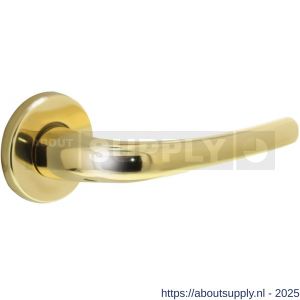 Intersteel Living 0194 deurkruk Cosmos op rozet verdekt diameter 49x7 mm messing gelakt - S26000323 - afbeelding 1