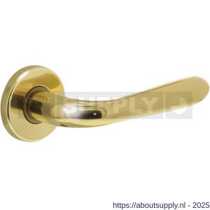 Intersteel Living 0195 deurkruk Jupiter op rozet verdekt diameter 49x7 mm messing gelakt - S26000324 - afbeelding 1