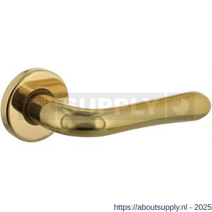 Intersteel Living 0198 deurkruk Saturnus op rozet verdekt diameter 49x7 mm messing gelakt - S26000327 - afbeelding 1