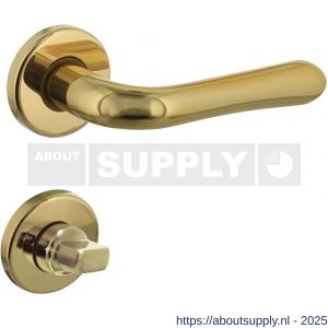 Intersteel 0198 deurkruk Saturnus op rozet verdekt diameter 49x7 mm en WC-sluiting met stift 8x8 mm messing gelakt - S26010582 - afbeelding 1