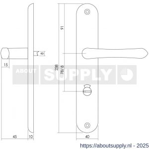 Intersteel 0198 deurkruk Saturnus op schild ovaal 236x37 mm WC 78/8 mm messing gelakt - S26007930 - afbeelding 2