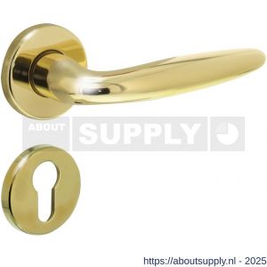 Intersteel 0199 deurkruk Sigaar op rozet verdekt diameter 49x7 mm en cilinderrozetten messing gelakt - S26010584 - afbeelding 1