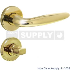 Intersteel 0199 deurkruk Sigaar op rozet verdekt diameter 49x7 mm en WC-sluiting met stift 8x8 mm messing gelakt - S26010585 - afbeelding 1