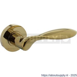 Intersteel 1695 deurkruk George op rozet verdekt diameter 52x10 mm met nokken PVD messingkleur - S26007932 - afbeelding 1