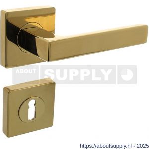 Intersteel 1713 deurkruk Hera op rozet verdekt 55x55x10 mm met nokken en sleutelrozetten PVD messingkleur - S26010145 - afbeelding 1