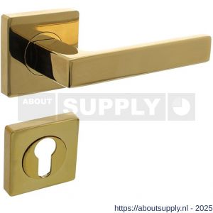 Intersteel 1713 deurkruk Hera op rozet verdekt 55x55x10 mm met nokken en cilinderrozetten PVD messingkleur - S26010146 - afbeelding 1