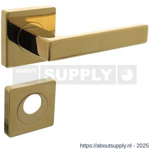 Intersteel 1713 deurkruk Hera op rozet verdekt 55x55x10 mm met nokken en rondcilinderrozetten PVD messingkleur - S26010147 - afbeelding 1