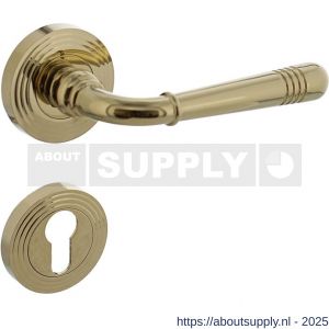 Intersteel 1725 deurkruk Helena op rozet verdekt met rillen diameter 55x10 mm met nokken en cilinderrozetten PVD messingkleur - S26001776 - afbeelding 1