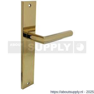 Intersteel 1743 deurkruk gatdeel rechts Bastian op schild rechthoekig 245x45 mm blind PVD messingkleur - S26010169 - afbeelding 1