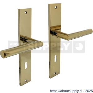 Intersteel 1743 deurkruk Bastian op schild rechthoekig 245x45 mm sleutelgat 78 mm PVD messingkleur - S26010172 - afbeelding 1