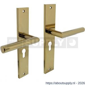 Intersteel Living 1743 deurkruk Bastian op schild rechthoekig 245x45 mm profielcilindergat 55 mm PVD messingkleur - S26010173 - afbeelding 1