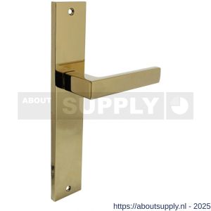 Intersteel 1744 deurkruk gatdeel rechts Hera op schild rechthoekig 245x45 mm blind PVD messingkleur - S26010178 - afbeelding 1