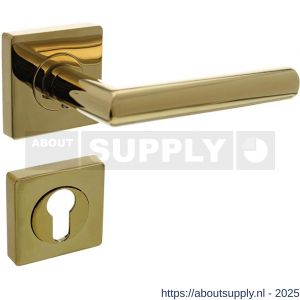 Intersteel 1747 deurkruk Bastian op rozet verdekt 55x55x10 mm met nokken en cilinderrozetten PVD messingkleur - S26010189 - afbeelding 1