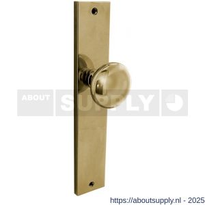 Intersteel Living 2128 knopschild rechthoekig 245x45x8 mm met vaste knop Paddenstoel en wisselstift blind PVD messingkleur - S26010193 - afbeelding 1