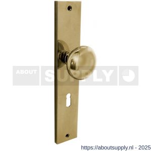 Intersteel Living 2128 knopschild rechthoekig 245x45x8 mm met vaste knop Paddenstoel en wisselstift sleutelgat 56 mm PVD messingkleur - S26010194 - afbeelding 1