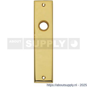 Intersteel 2568 renovatie kortschild rechthoekig 181x41x7 mm blind messing gelakt - S26002823 - afbeelding 1