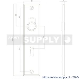 Intersteel 2568 renovatie kortschild rechthoekig 181x41x7 mm sleutelgat 56 mm messing gelakt - S26002824 - afbeelding 2