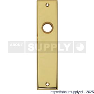 Intersteel 2568 renovatie kortschild rechthoekig 181x41x7 mm profielcilindergat 72 mm messing gelakt - S26002827 - afbeelding 1
