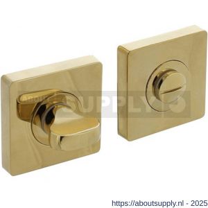 Intersteel 3191 WC-sluiting verdekt 55x55x10 mm met nokken en stift 7x7 mm PVD messingkleur - S26010198 - afbeelding 1