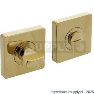 Intersteel Living 3191 WC-sluiting verdekt 55x55x10 mm met nokken en stift 8x8 mm PVD messingkleur - S26010199 - afbeelding 1