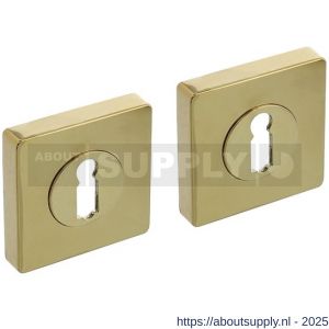 Intersteel Living 3191 sleutelrozetten verdekt 55x55x10 mm met nokken PVD messingkleur - S26010200 - afbeelding 1