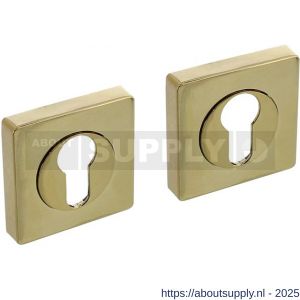 Intersteel Living 3191 cilinderrozetten verdekt 55x55x10 mm met nokken PVD messingkleur - S26010201 - afbeelding 1