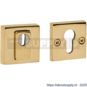 Intersteel 3755 SKG3 veiligheidsrozetten vierkant 54x54x12 mm profielcilindergat met kerntrekbeveiliging PVD messingkleur - S26010899 - afbeelding 1
