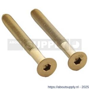 Intersteel 9904 set van 2 bouten zeskant M5x48 mm RVS PVD messing mat - S26011312 - afbeelding 1