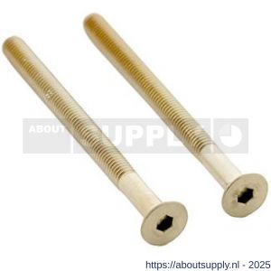 Intersteel 9904 set van 2 bouten zeskant M5x65 mm RVS PVD messing mat - S26011313 - afbeelding 1