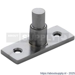 Intersteel 5615 stelpen chroom mat - S26003867 - afbeelding 1