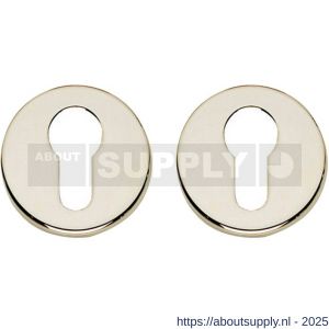 Intersteel Living 3186 cilinderrozetten verdekt diameter 49x7 mm nikkel - S26011128 - afbeelding 1