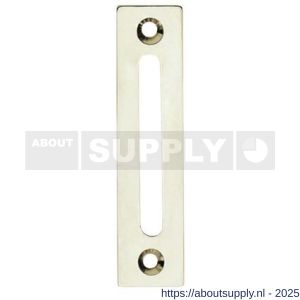 Intersteel 3700 sluitplaat vlak voor WC-overslag Vrij-Bezet nikkel - S26007538 - afbeelding 1
