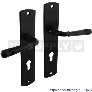 Intersteel 1705 deurkruk Helena op schild afgerond 235x45 mm profielcilindergat 72 mm zwart - S26010789 - afbeelding 1