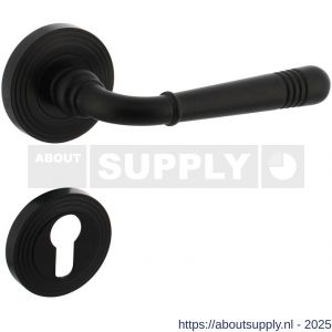 Intersteel 1725 deurkruk Helena op rozet verdekt met rillen diameter 55x10 mm met nokken en cilinderrozetten zwart - S26010795 - afbeelding 1