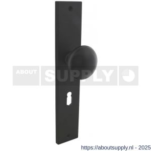 Intersteel Living 2128 knopschild rechthoekig 245x45x8 mm met vaste knop Paddenstoel en wisselstift sleutelgat 56 mm zwart - S26010316 - afbeelding 1
