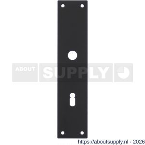 Intersteel 2688 schild renovatie rechthoekig 250x55x2 mm sleutelgat 72 mm RVS mat zwart - S26006782 - afbeelding 1