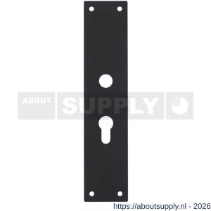 Intersteel 2688 schild renovatie rechthoekig 250x55x2 mm PC55 mm RVS mat zwart - S26007027 - afbeelding 1