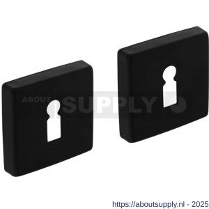Intersteel Living 3093 sleutelrozetten verdekt 50x50x10 mm met nokken zwart - S26011139 - afbeelding 1