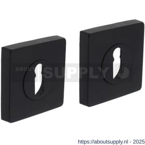 Intersteel Living 3185 sleutelrozetten verdekt 55x55x10 mm met nokken zwart - S26011003 - afbeelding 1