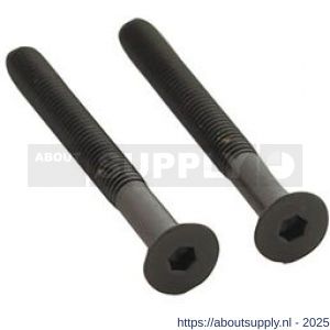 Intersteel 9904 set van 2 bouten zeskant M5x48 mm RVS PVD zwart - S26011314 - afbeelding 1