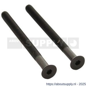 Intersteel 9904 set van 2 bouten zeskant M5x65 mm RVS PVD zwart - S26011315 - afbeelding 1