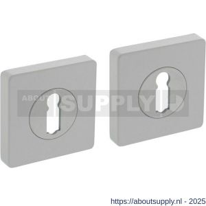 Intersteel Living 3185 sleutelrozetten verdekt 55x55x10 mm met nokken wit - S26011009 - afbeelding 1