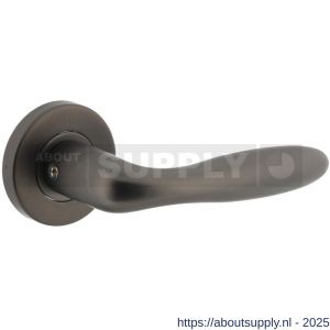 Intersteel 1281 deurkruk gatdeel rechts Jupiter op rozet verdekt diameter 53x8 mm met nokken antraciet grijs - S26010365 - afbeelding 1