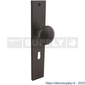 Intersteel Living 2128 knopschild rechthoekig 245x45x8 mm met vaste knop Paddenstoel en wisselstift sleutelgat 56 mm antraciet grijs - S26010438 - afbeelding 1