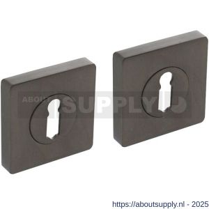 Intersteel Living 3185 sleutelrozetten verdekt 55x55x10 mm met nokken antraciet grijs - S26011015 - afbeelding 1